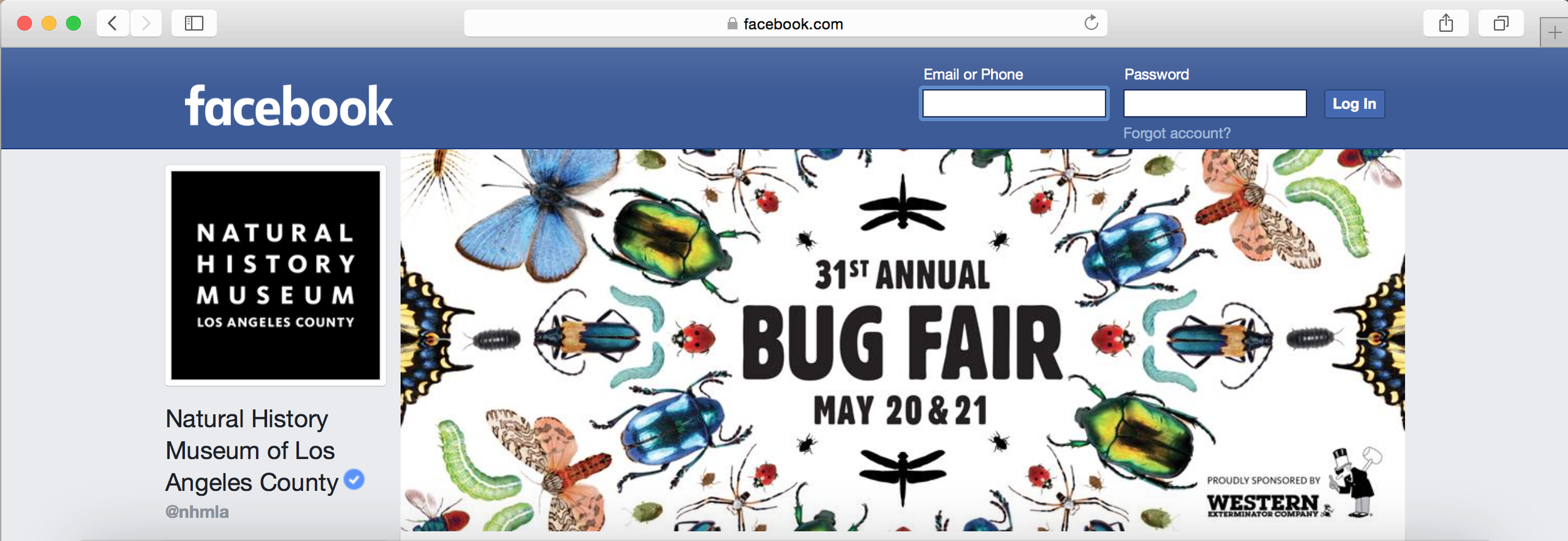 Bug Fair Facebook cover