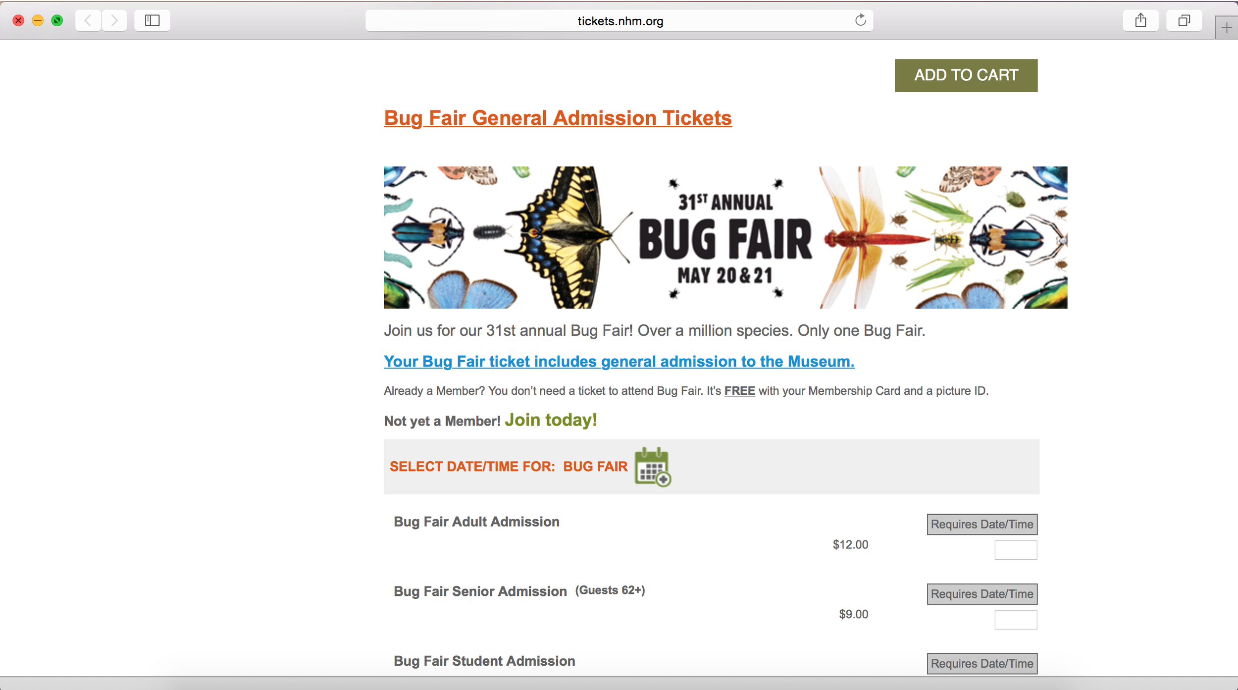 Bug Fair ticket page