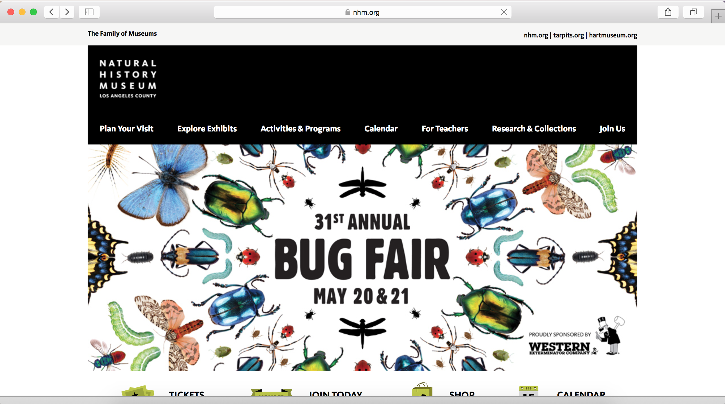 Bug Fair NHM website